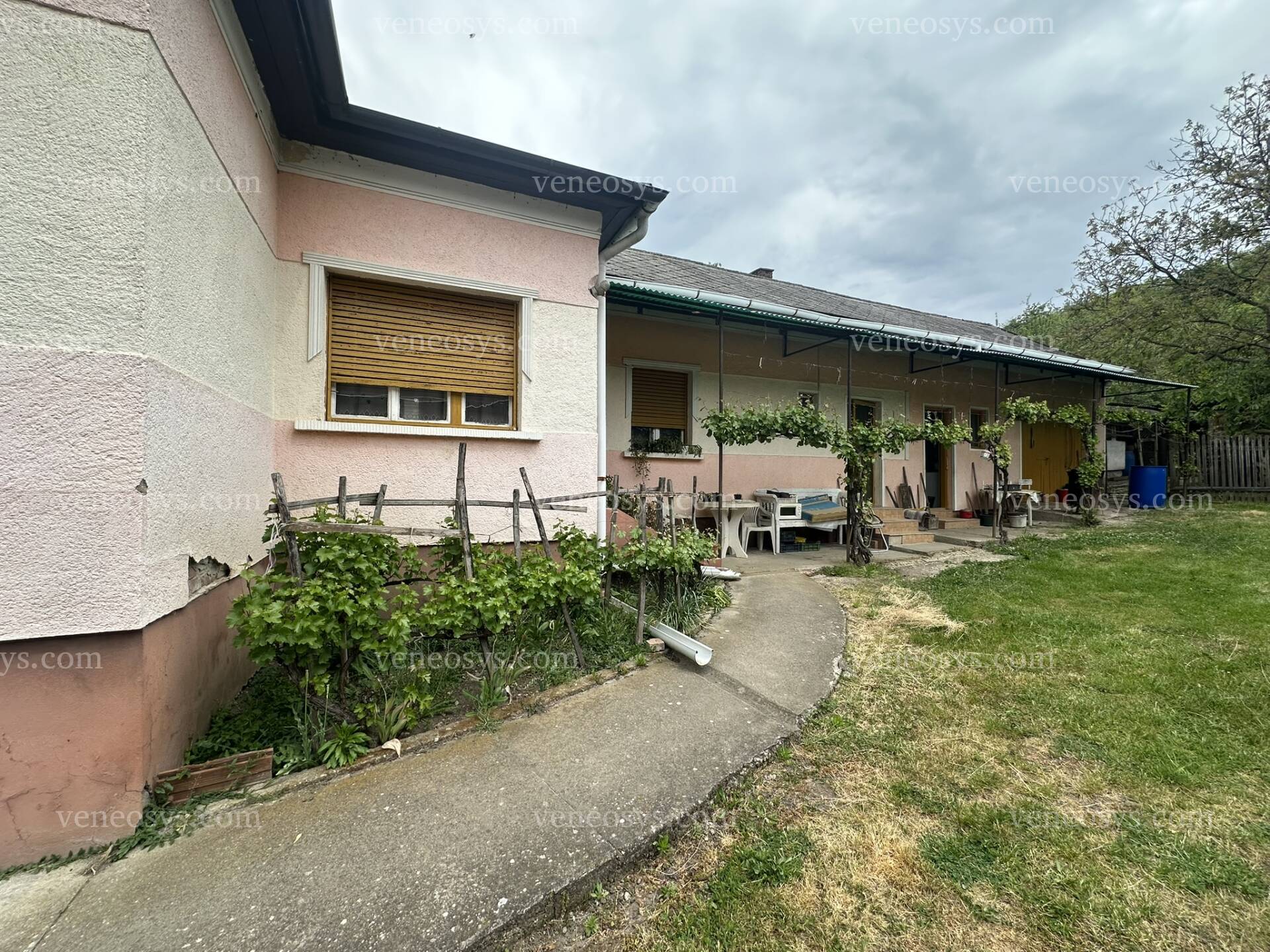 Kép 3