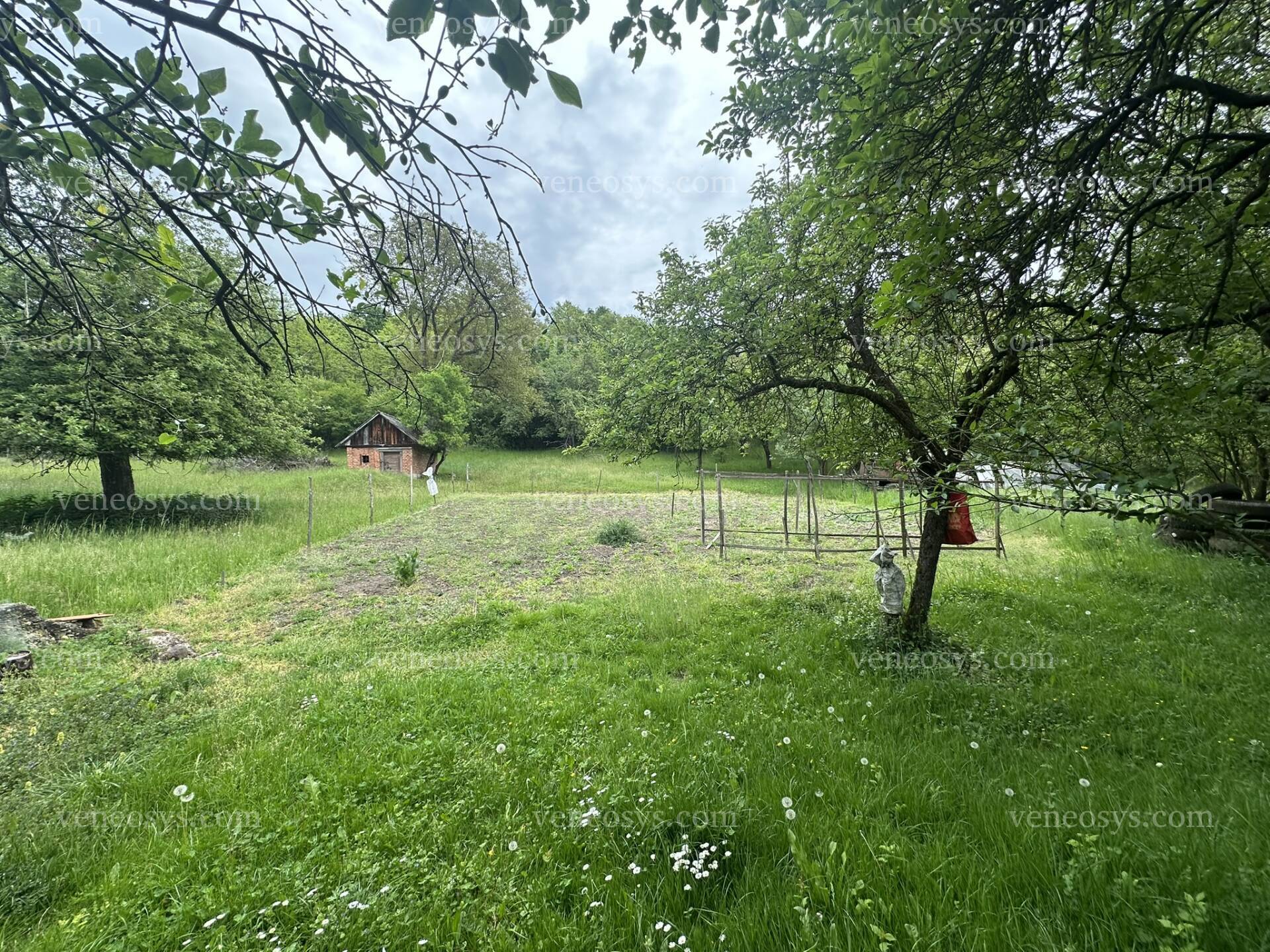 Kép 5