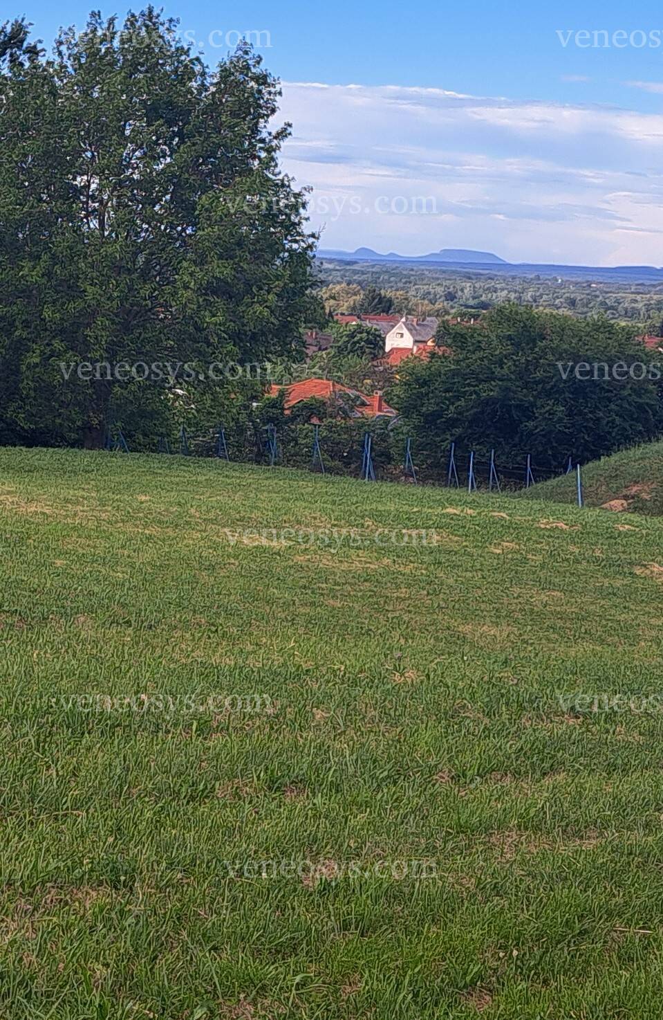 Kép 4