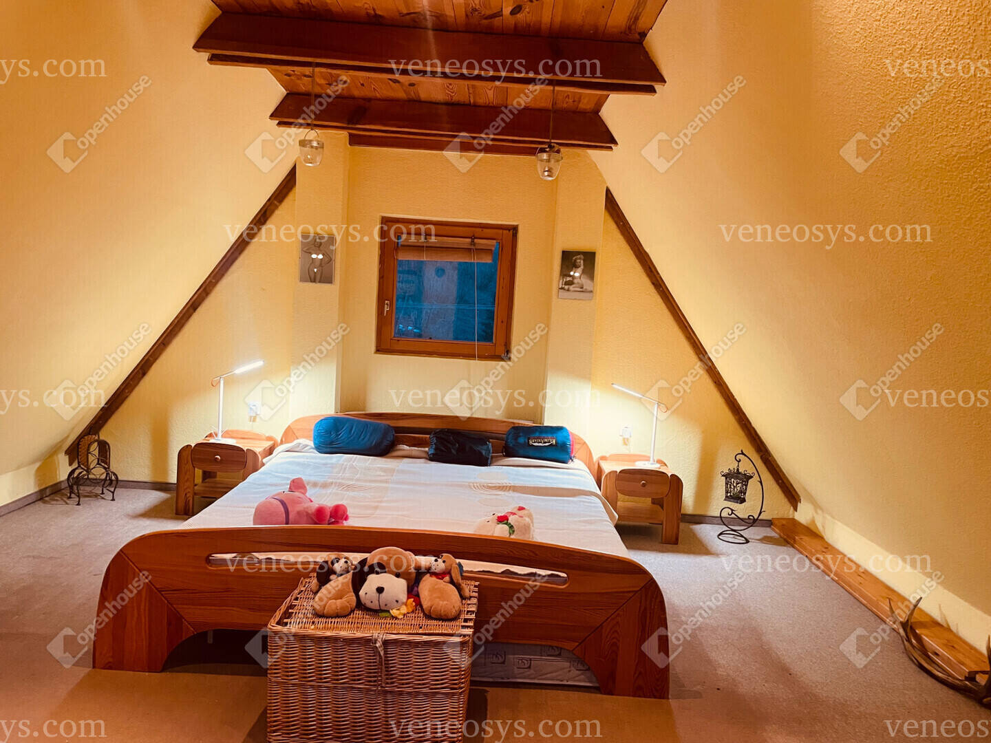 Kép 5