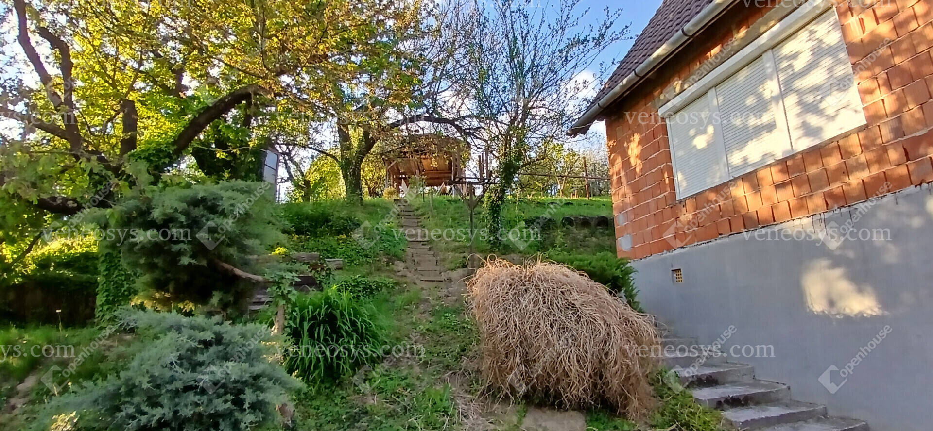 Kép 23