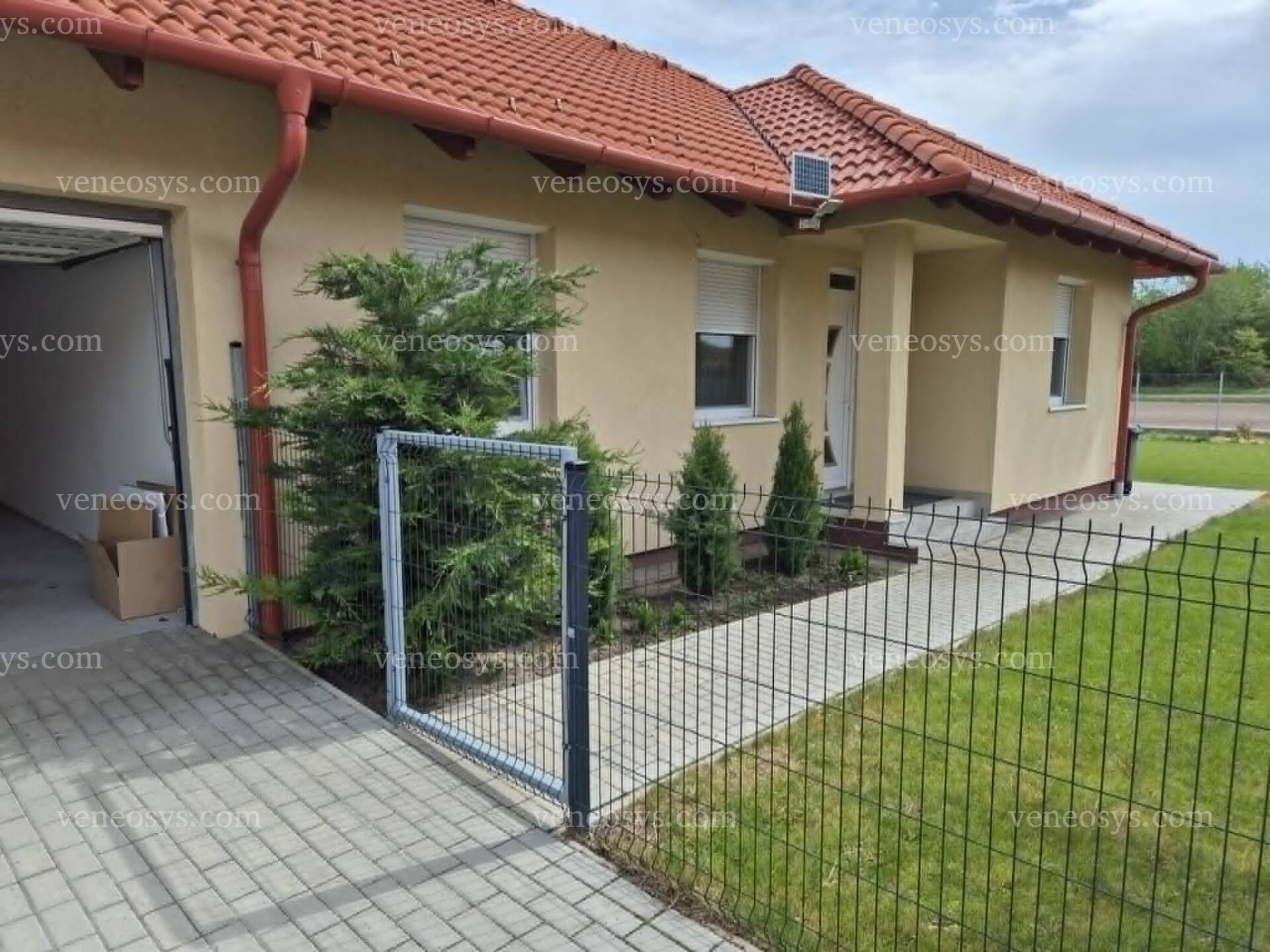Kép 3