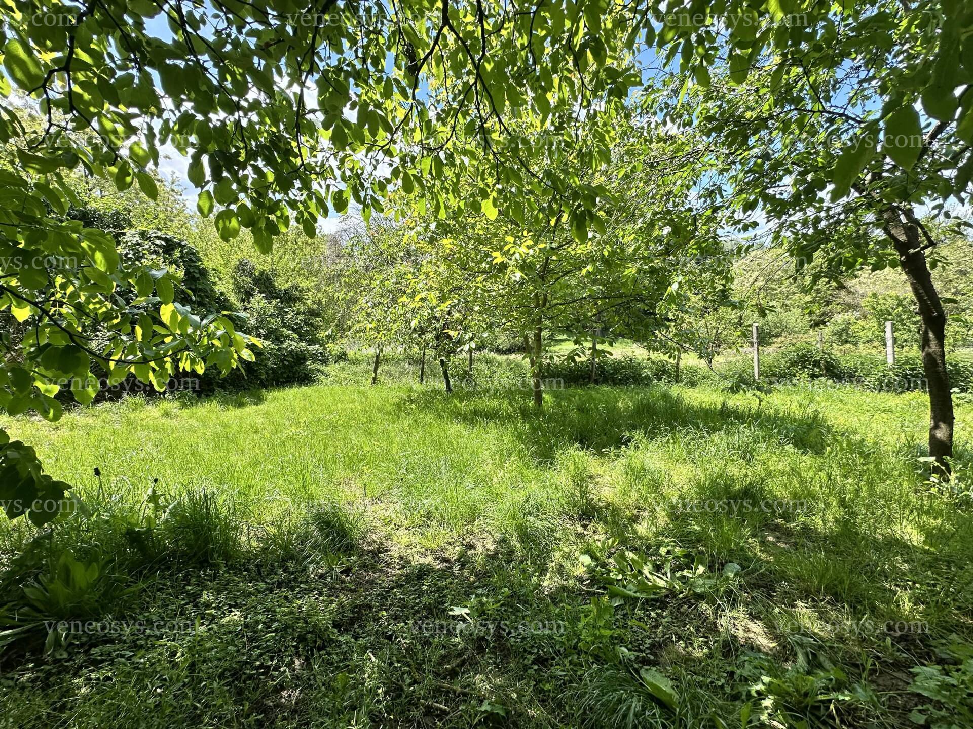 Kép 11