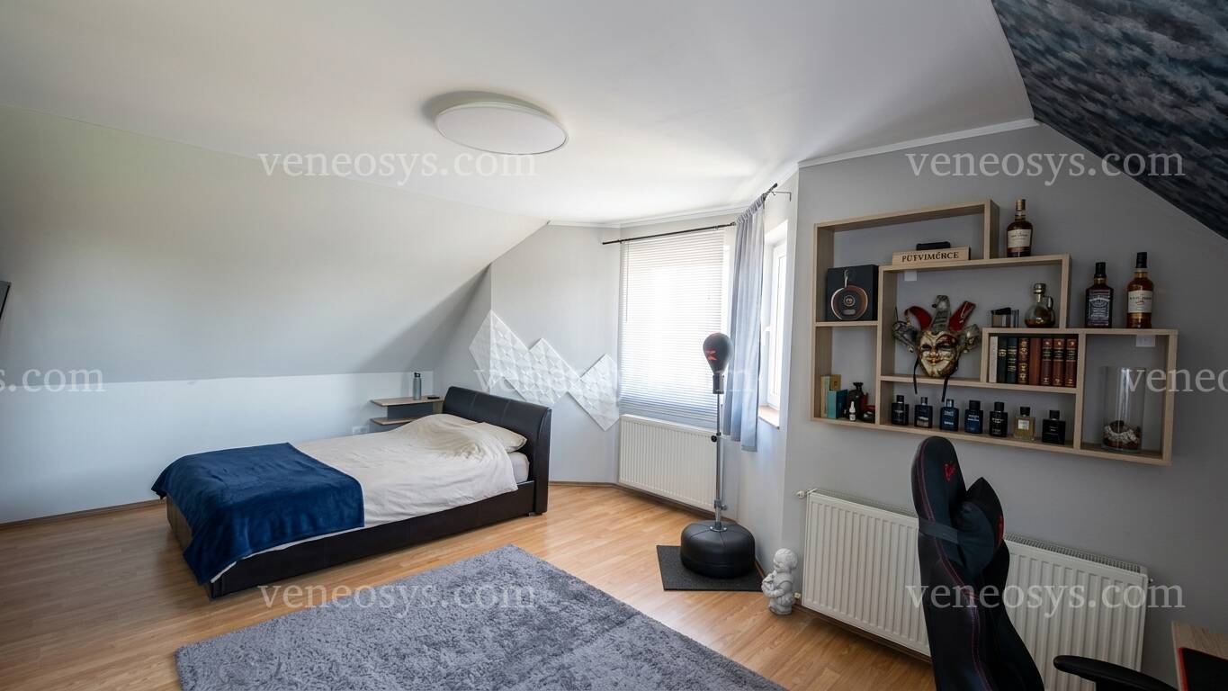 Kép 10