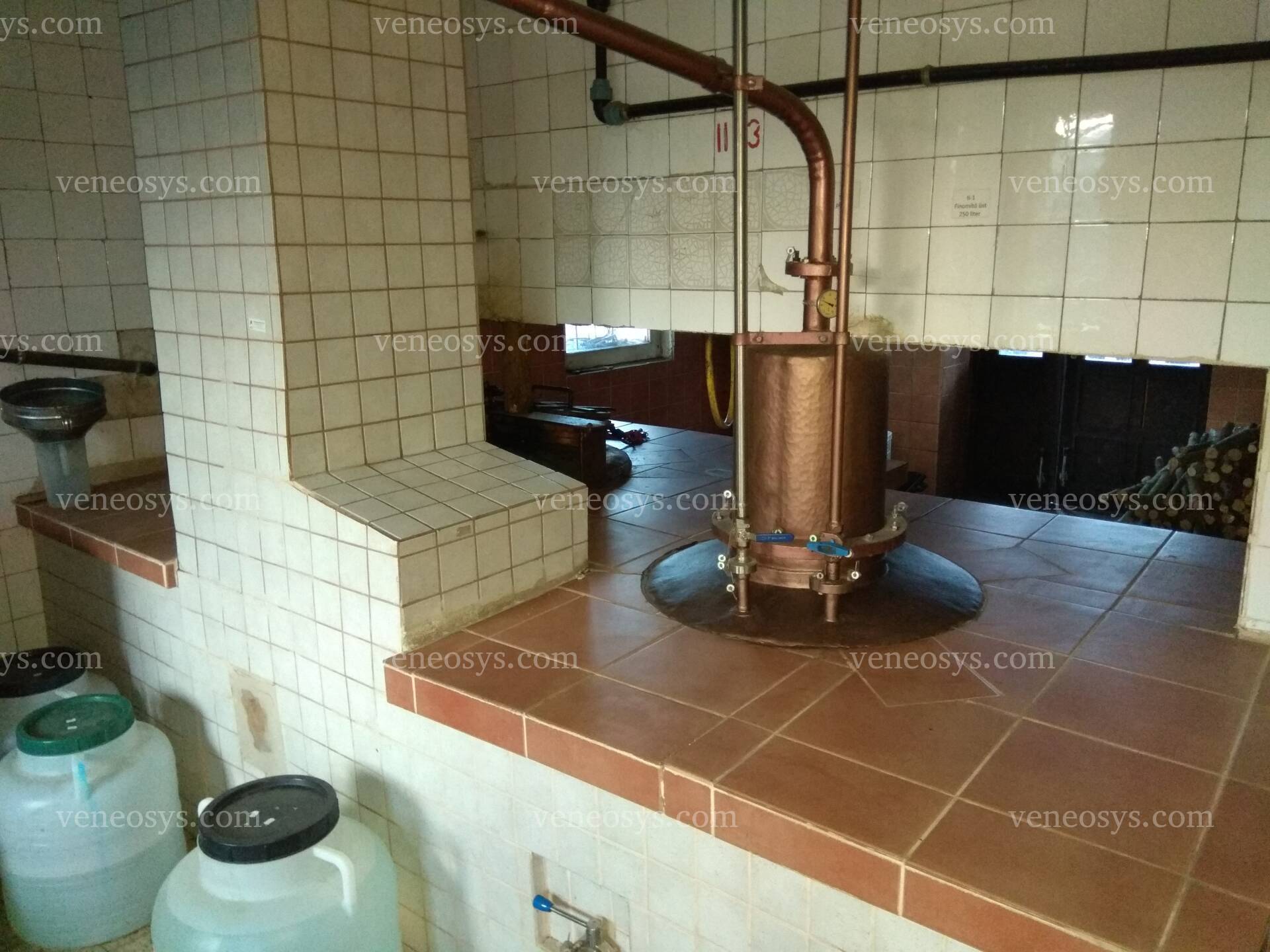 Kép 11