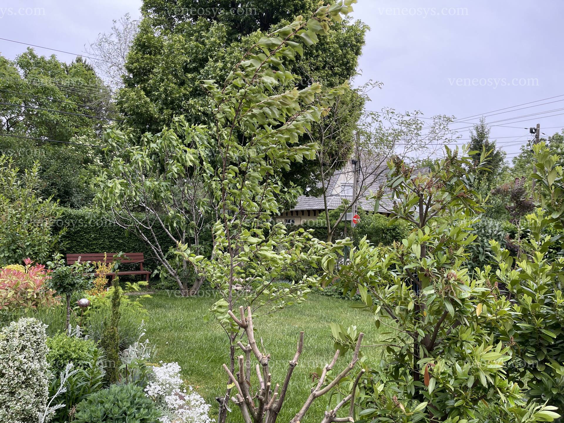 Kép 6