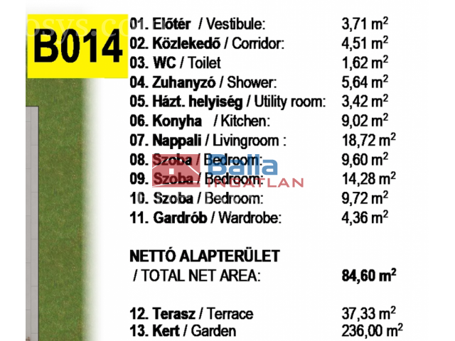 Kép 6