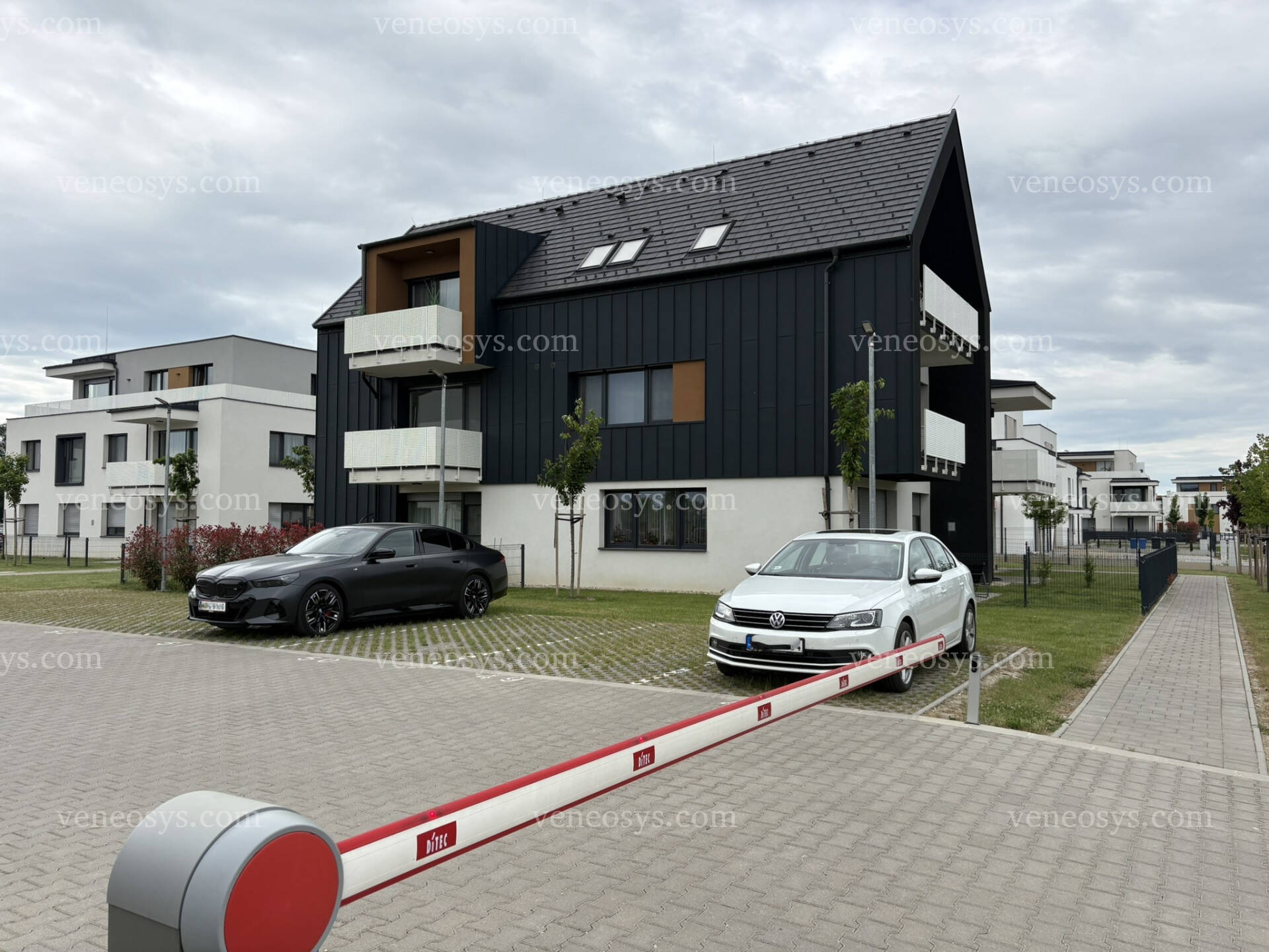 Kép 11