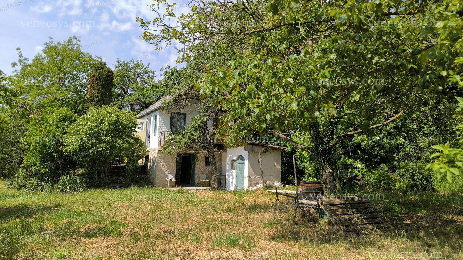 Kép 6