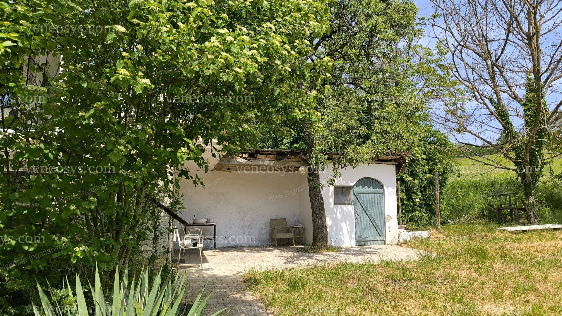 Kép 11