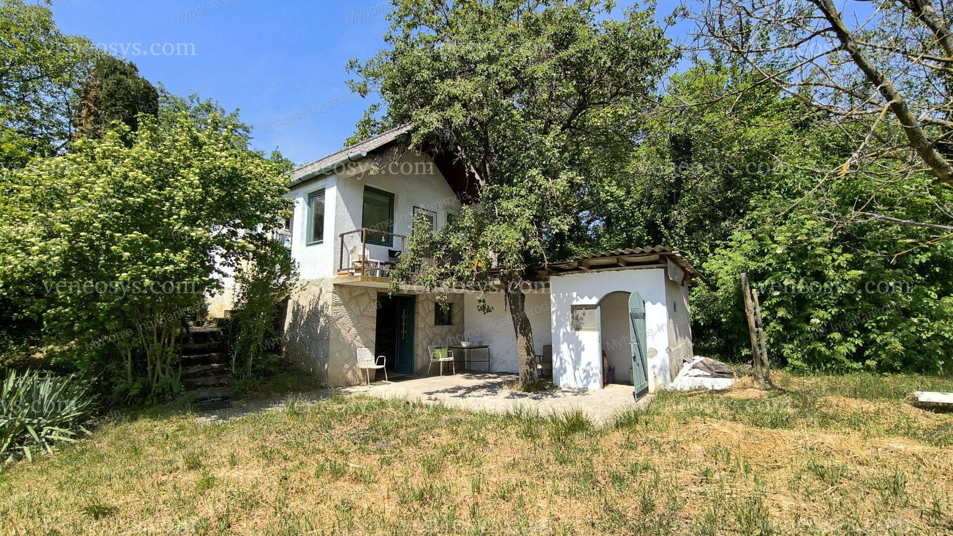 Kép 9