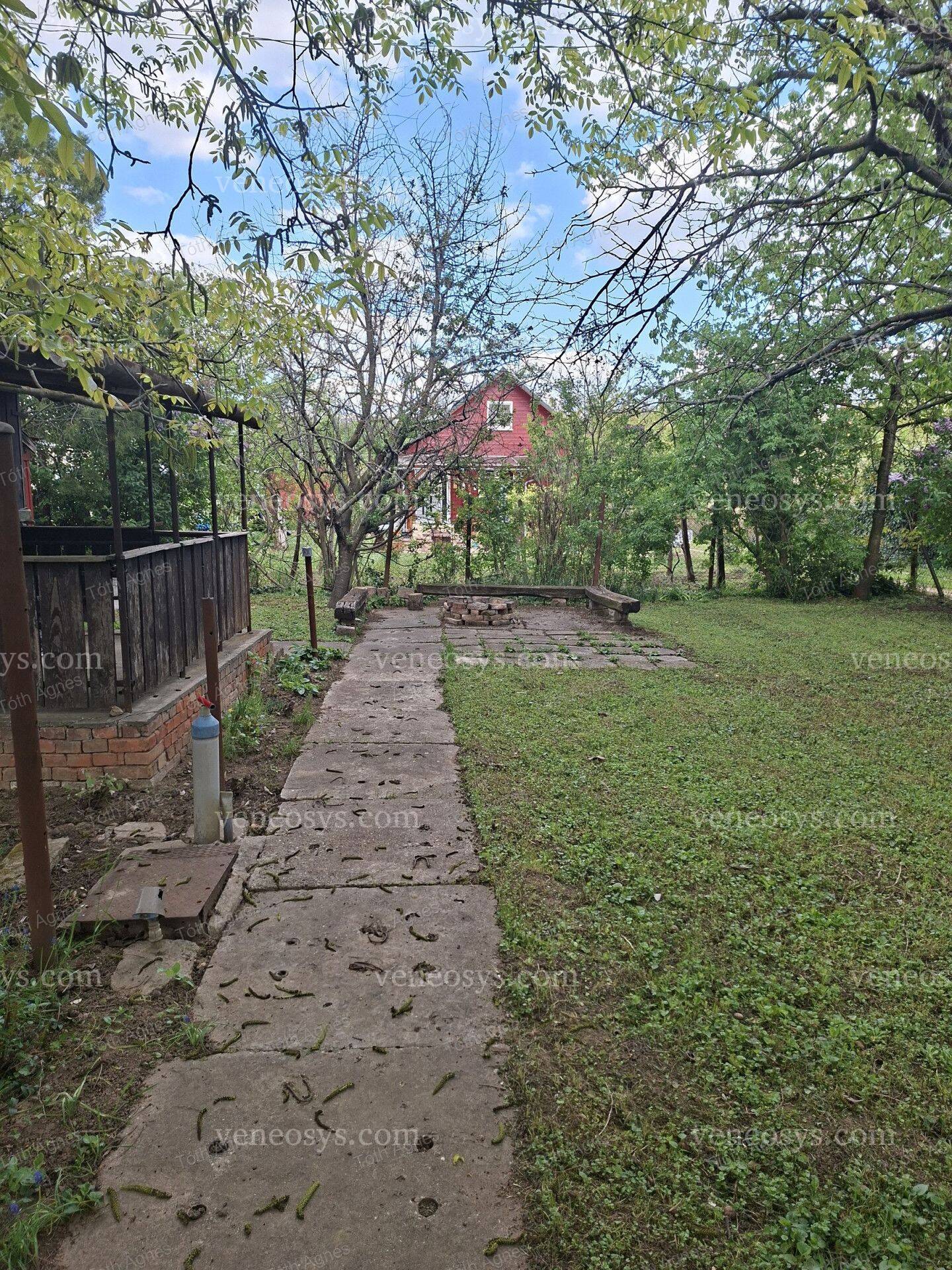 Kép 4