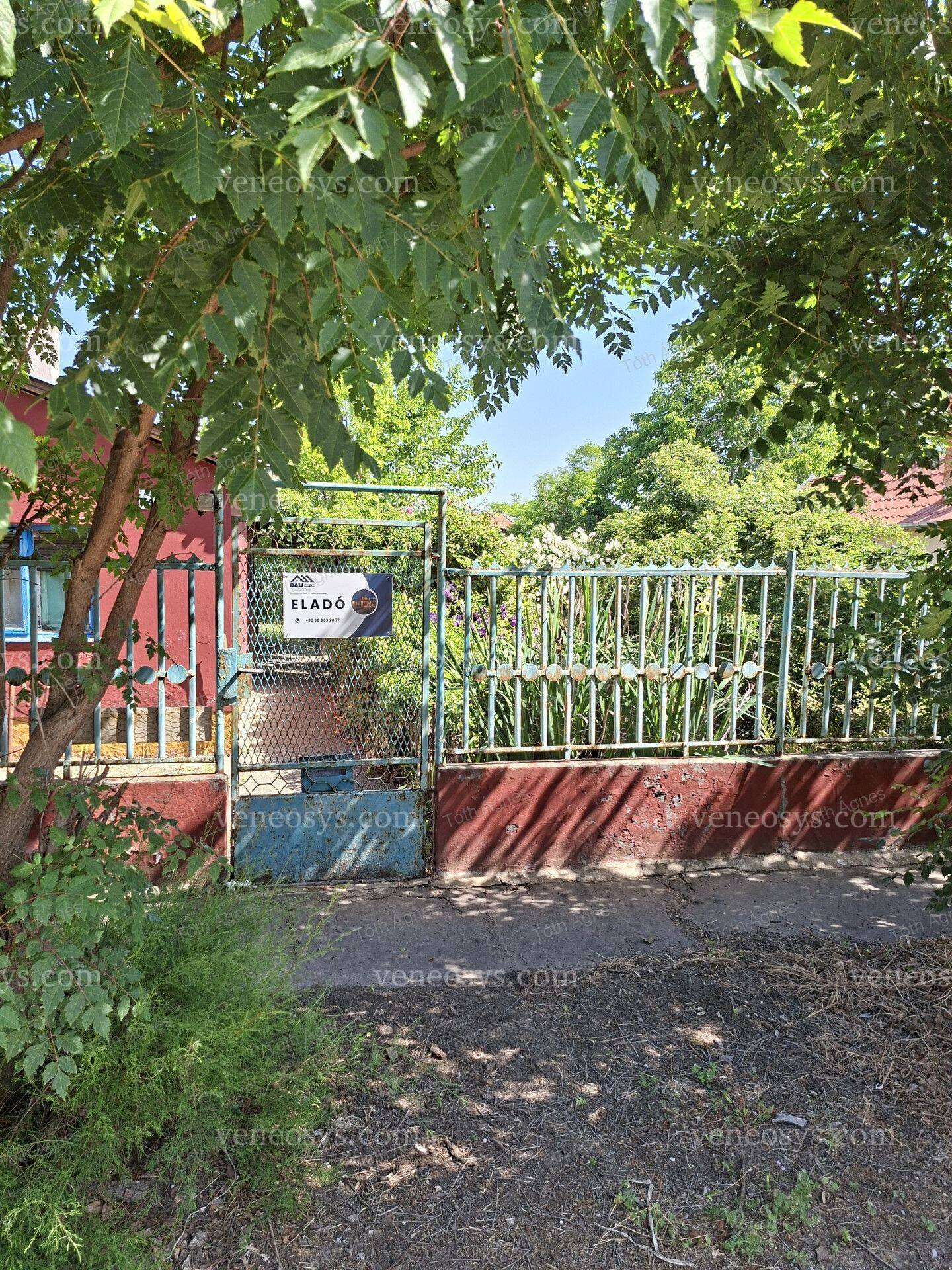 Kép 14