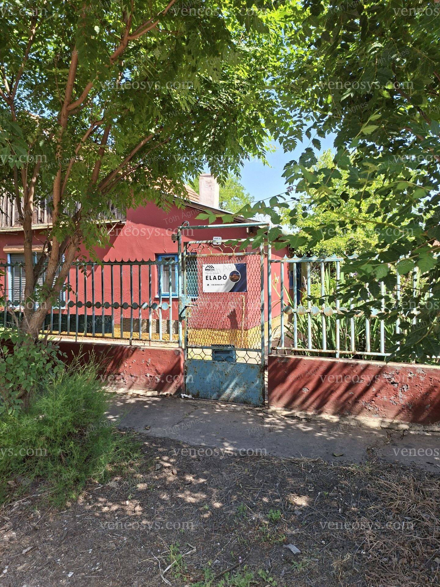 Kép 13