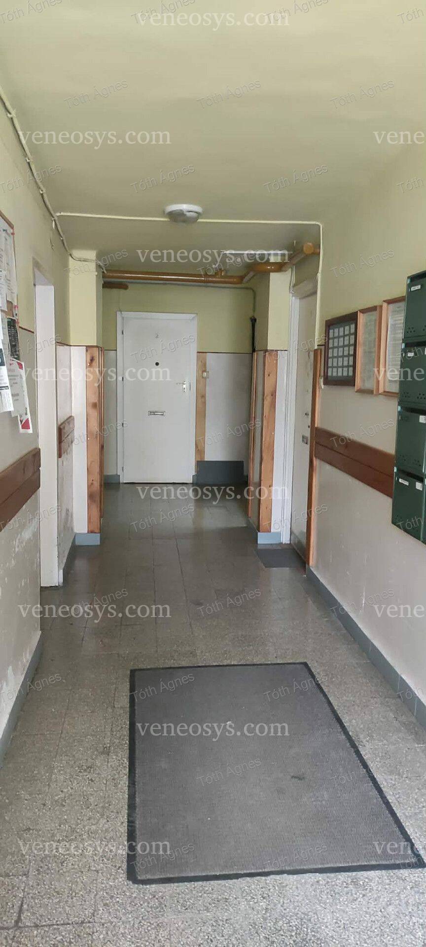 Kép 3
