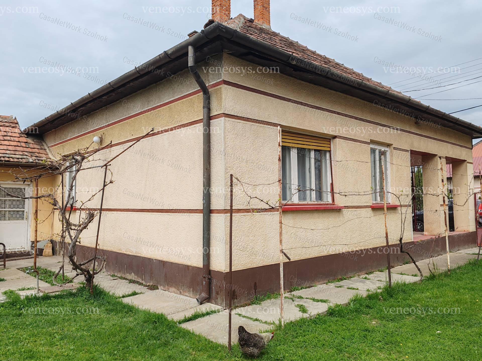 Kép 2