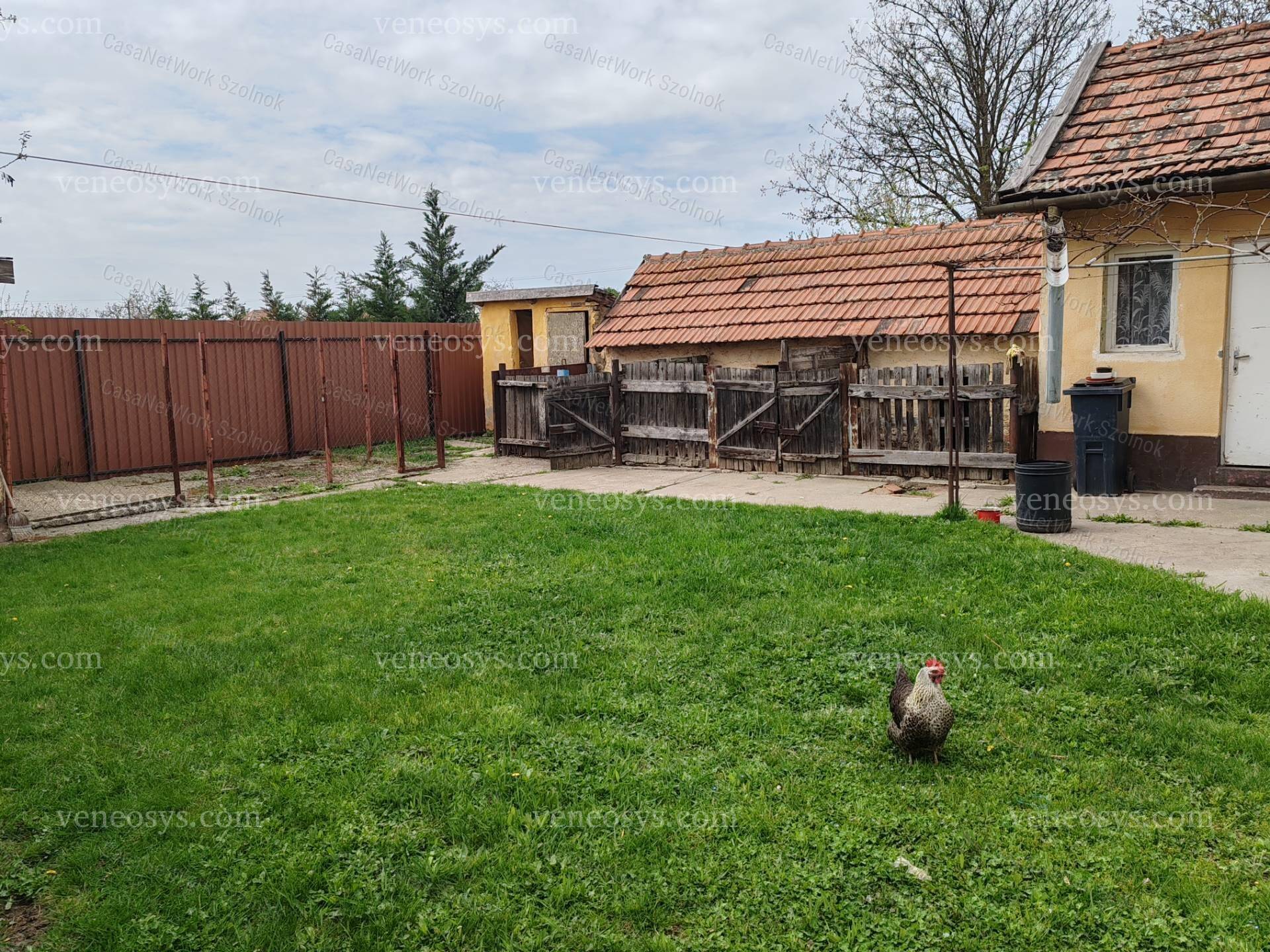 Kép 3
