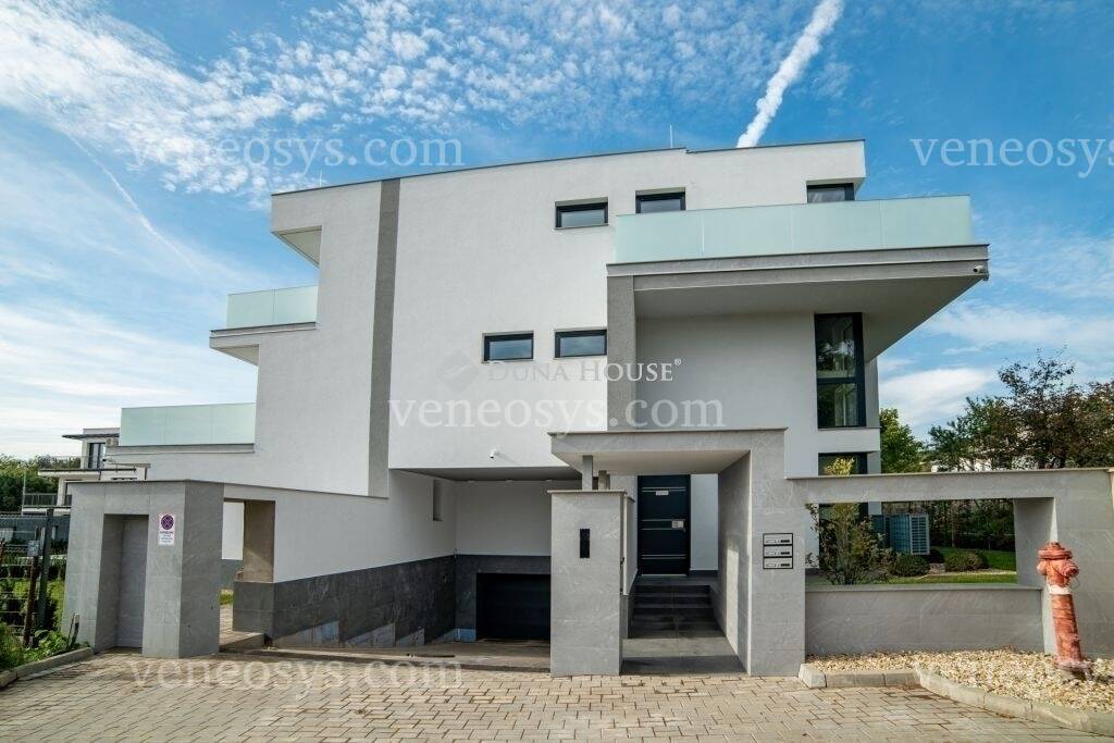 Kép 5