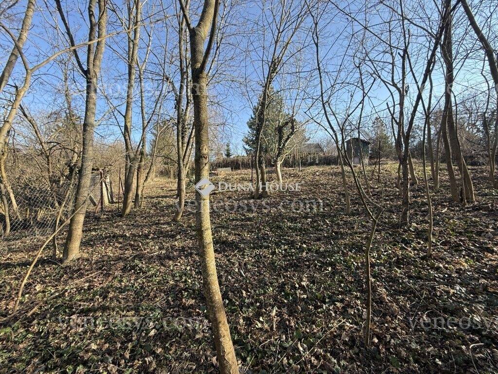 Kép 13