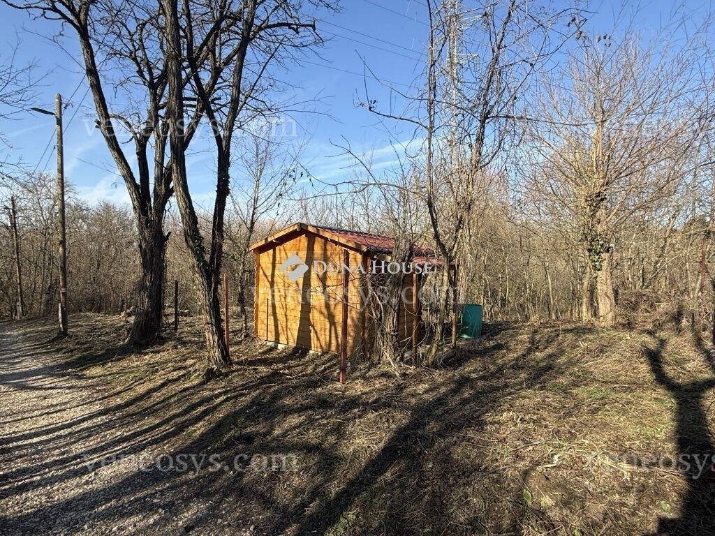 Kép 14