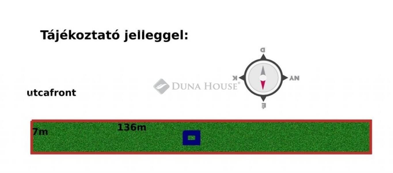 Kép 6