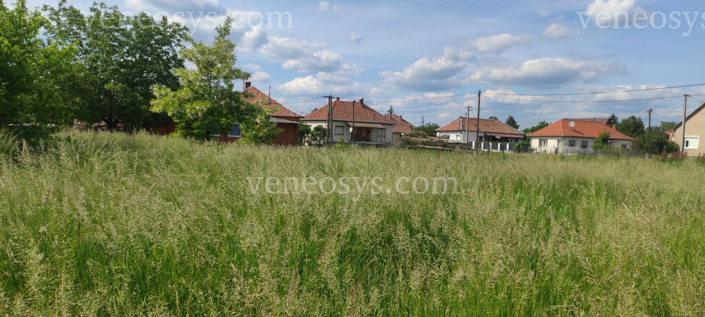 Kép 5