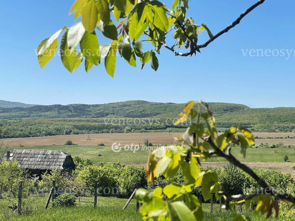 Kép 2