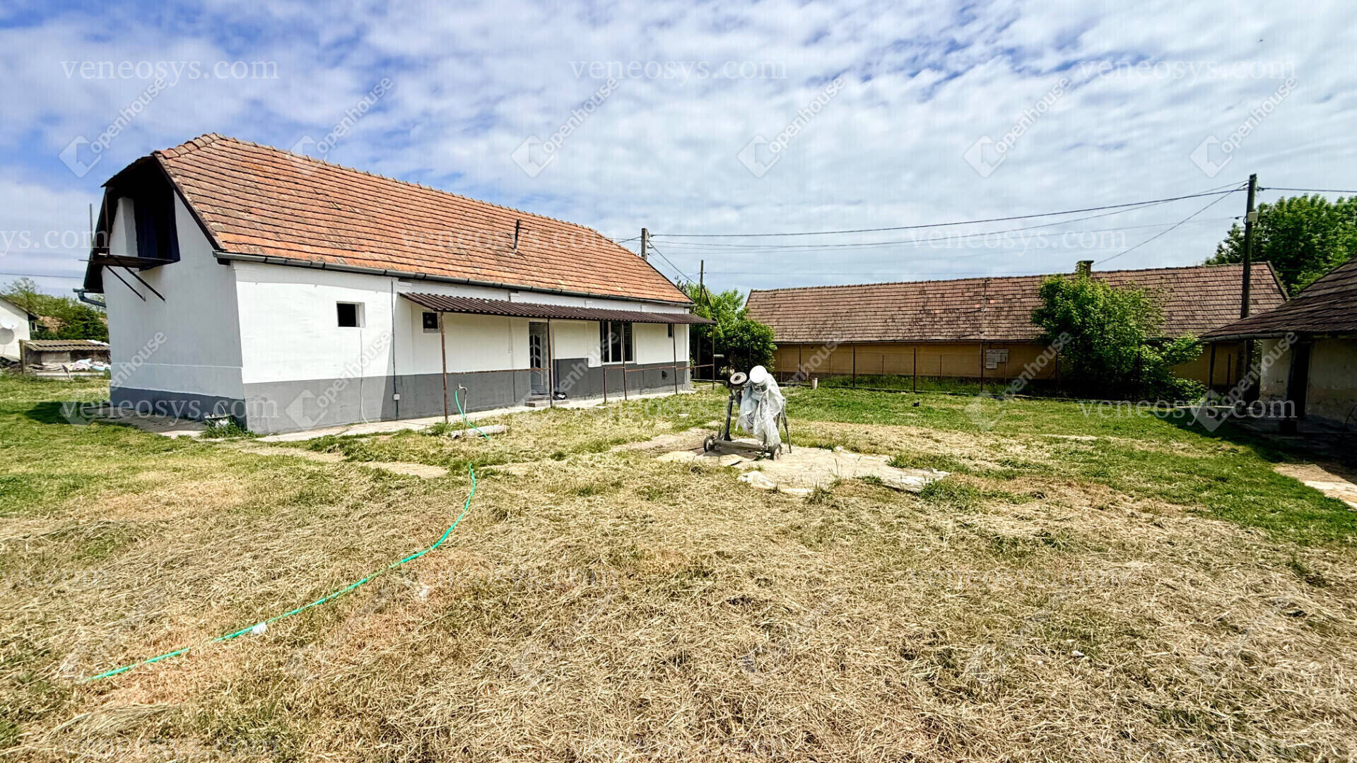 Kép 5