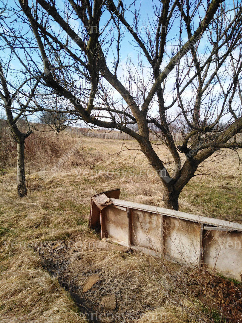 Kép 19