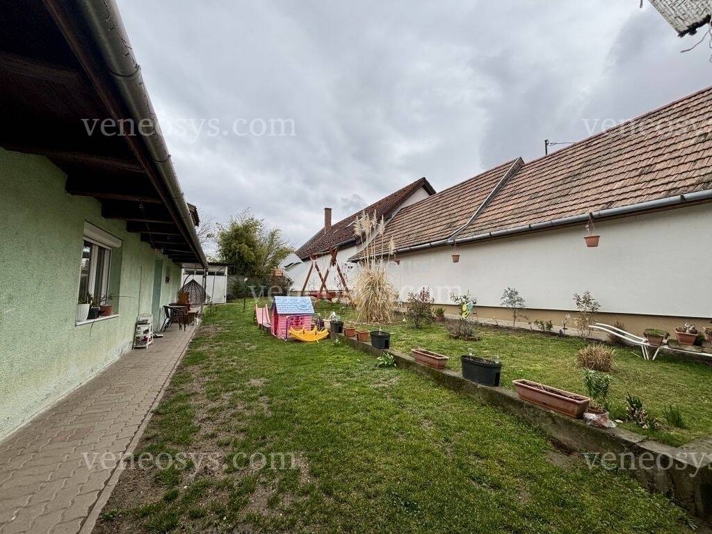Kép 12