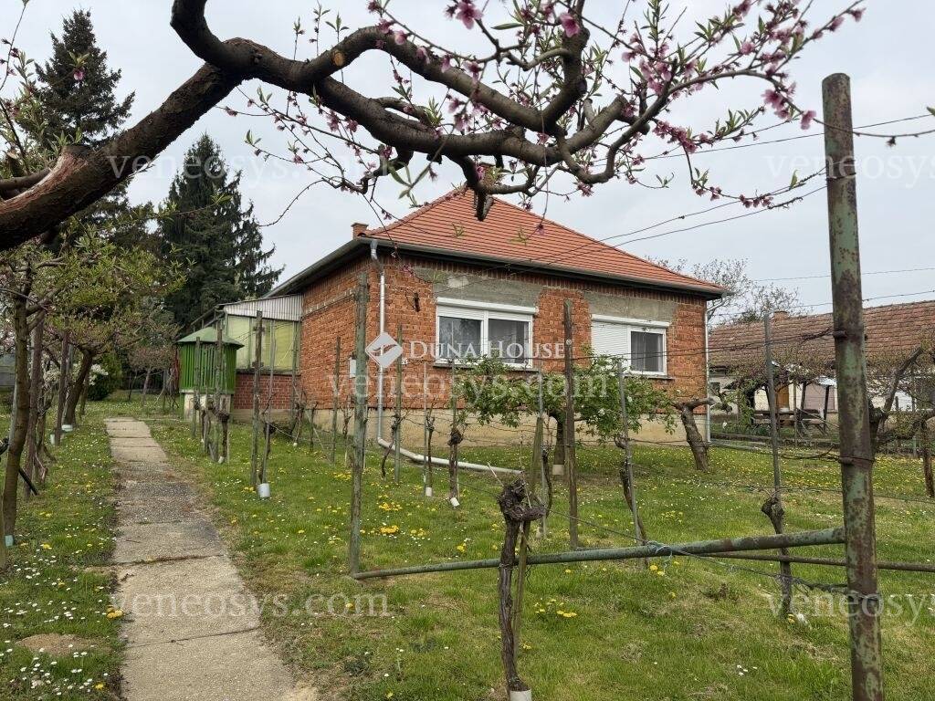 Kép 7