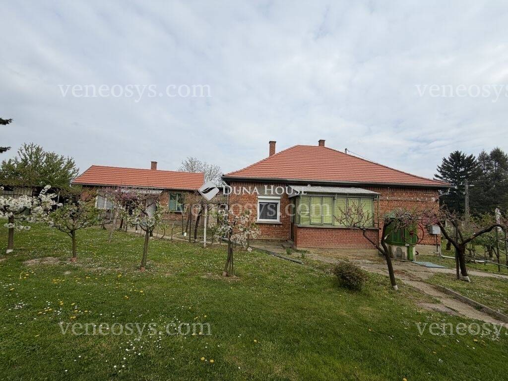 Kép 10
