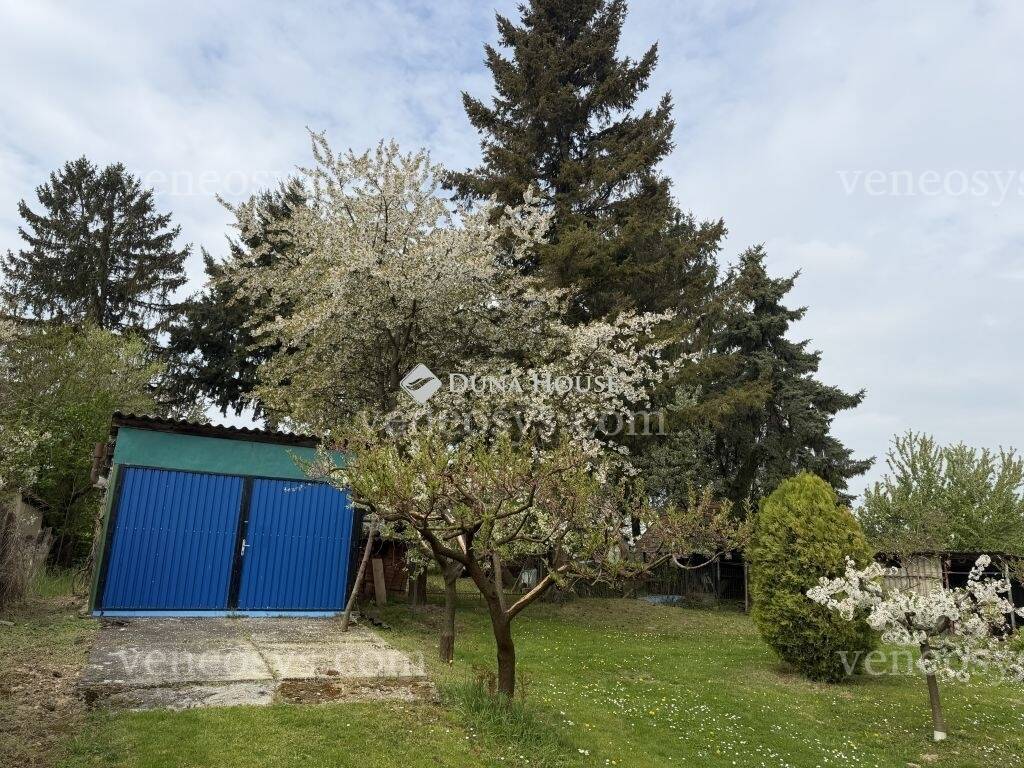 Kép 12