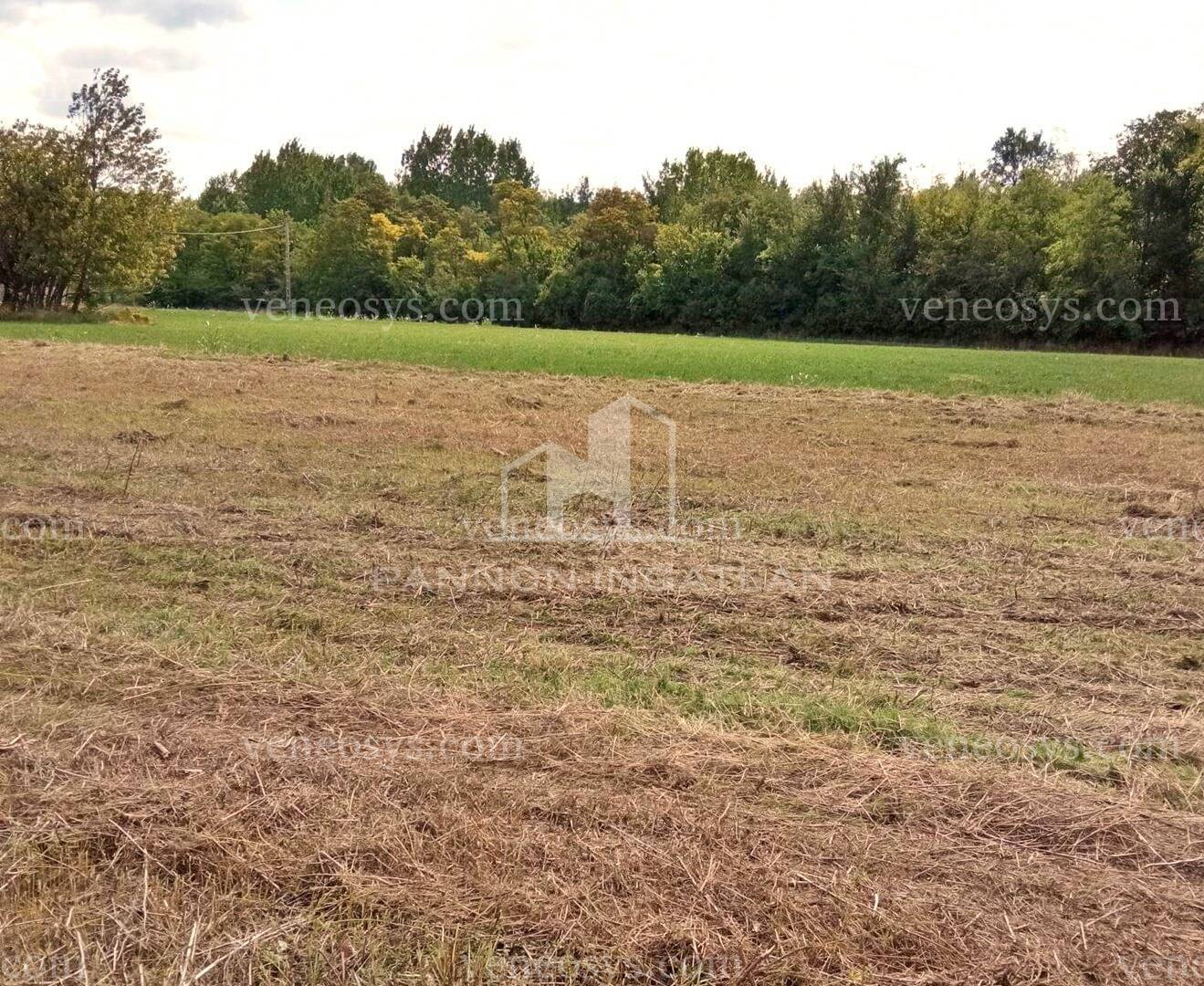 Kép 4