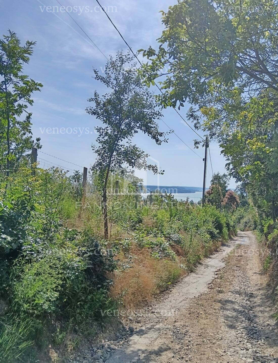Kép 6