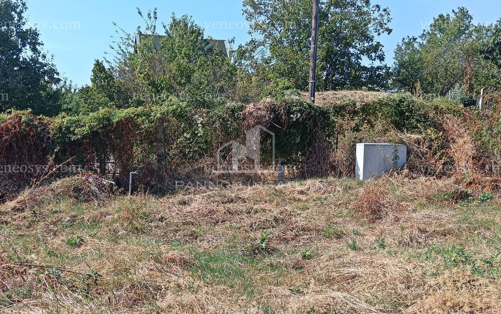 Kép 6