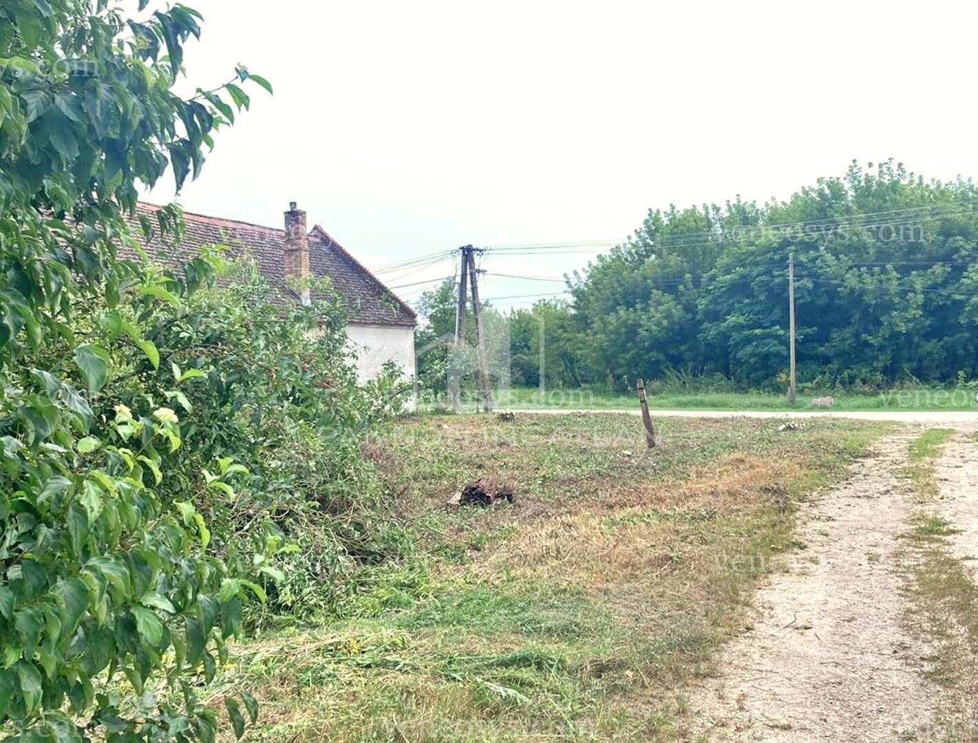 Kép 7