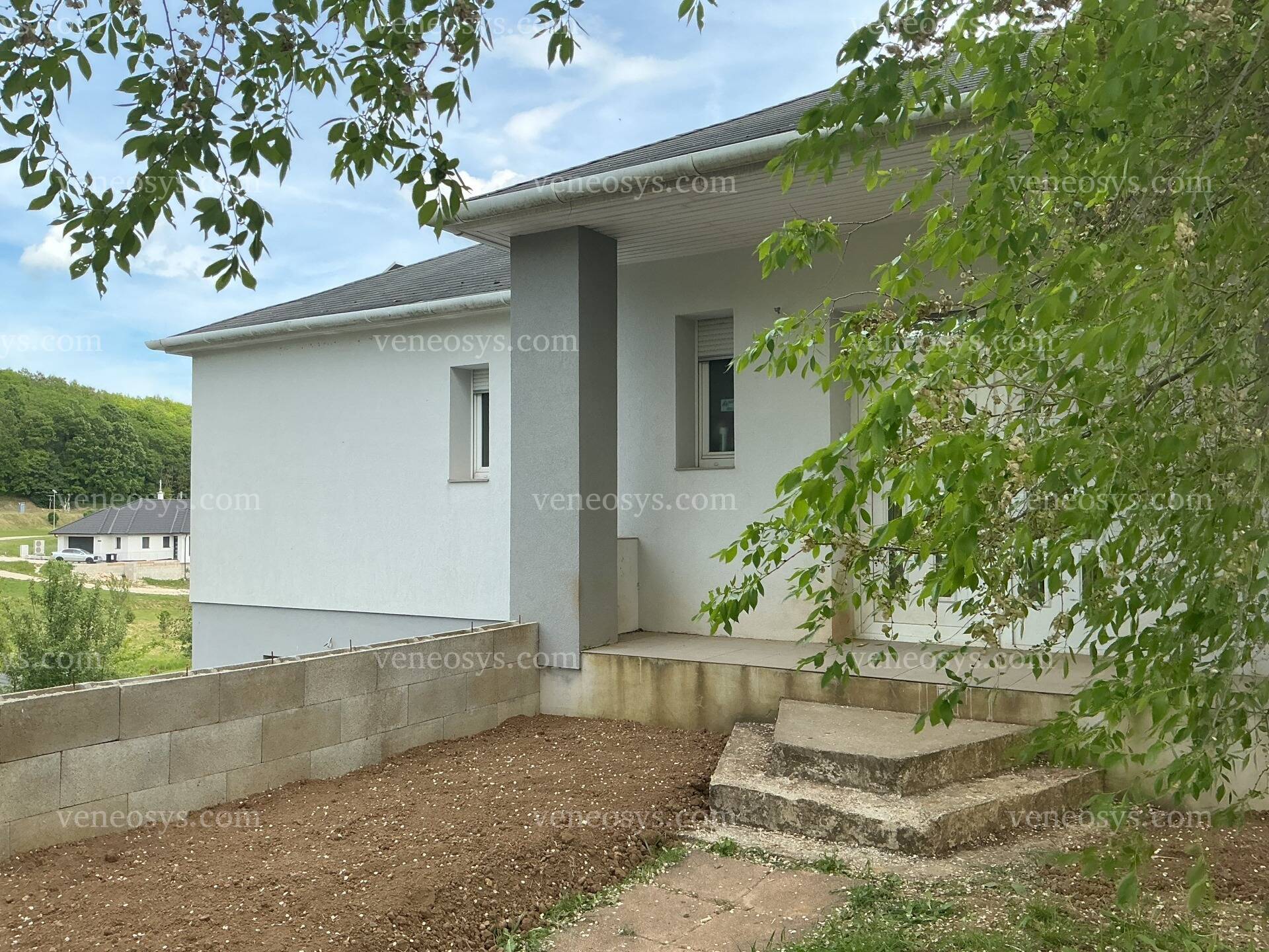 Kép 5