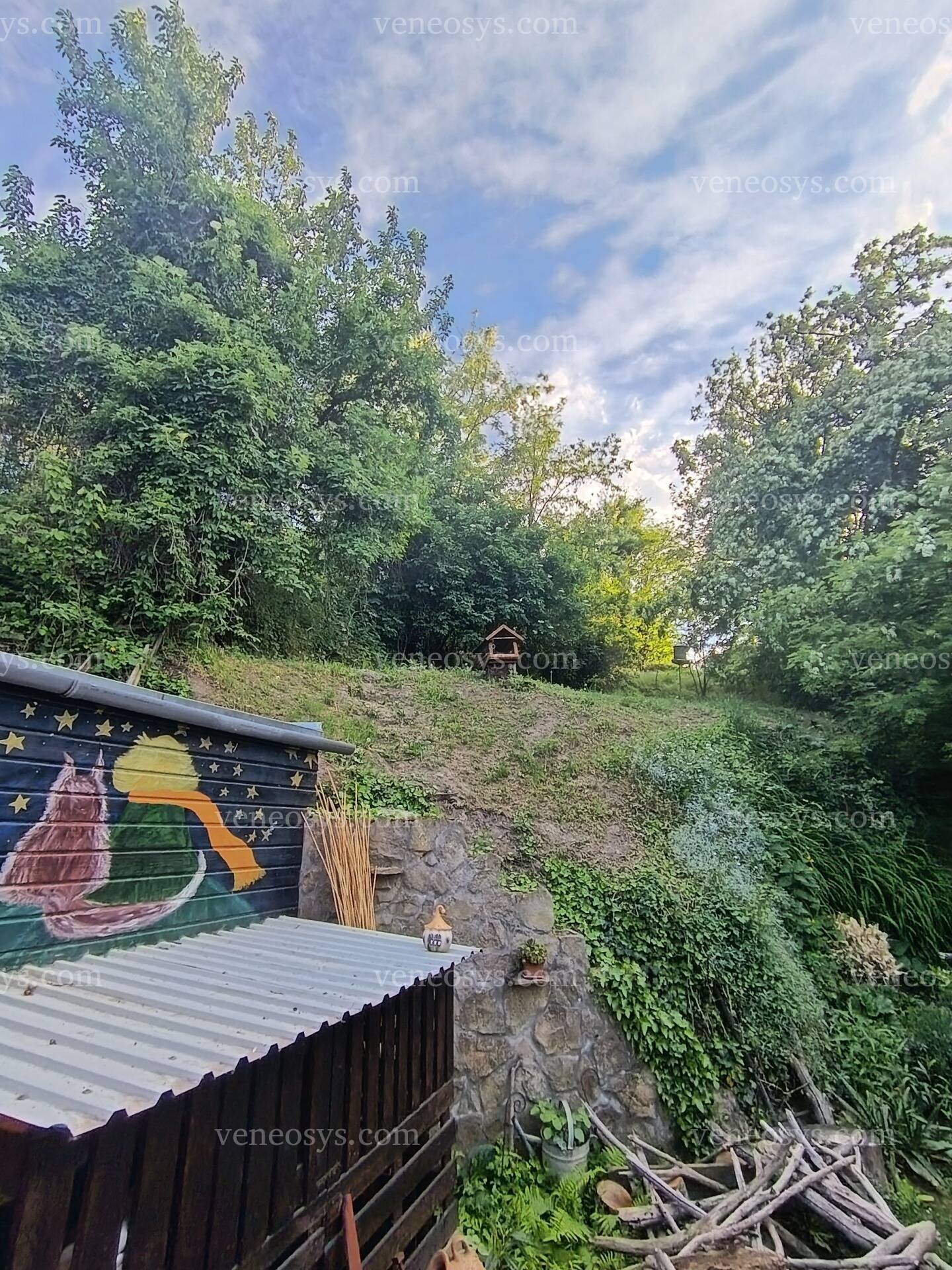Kép 20
