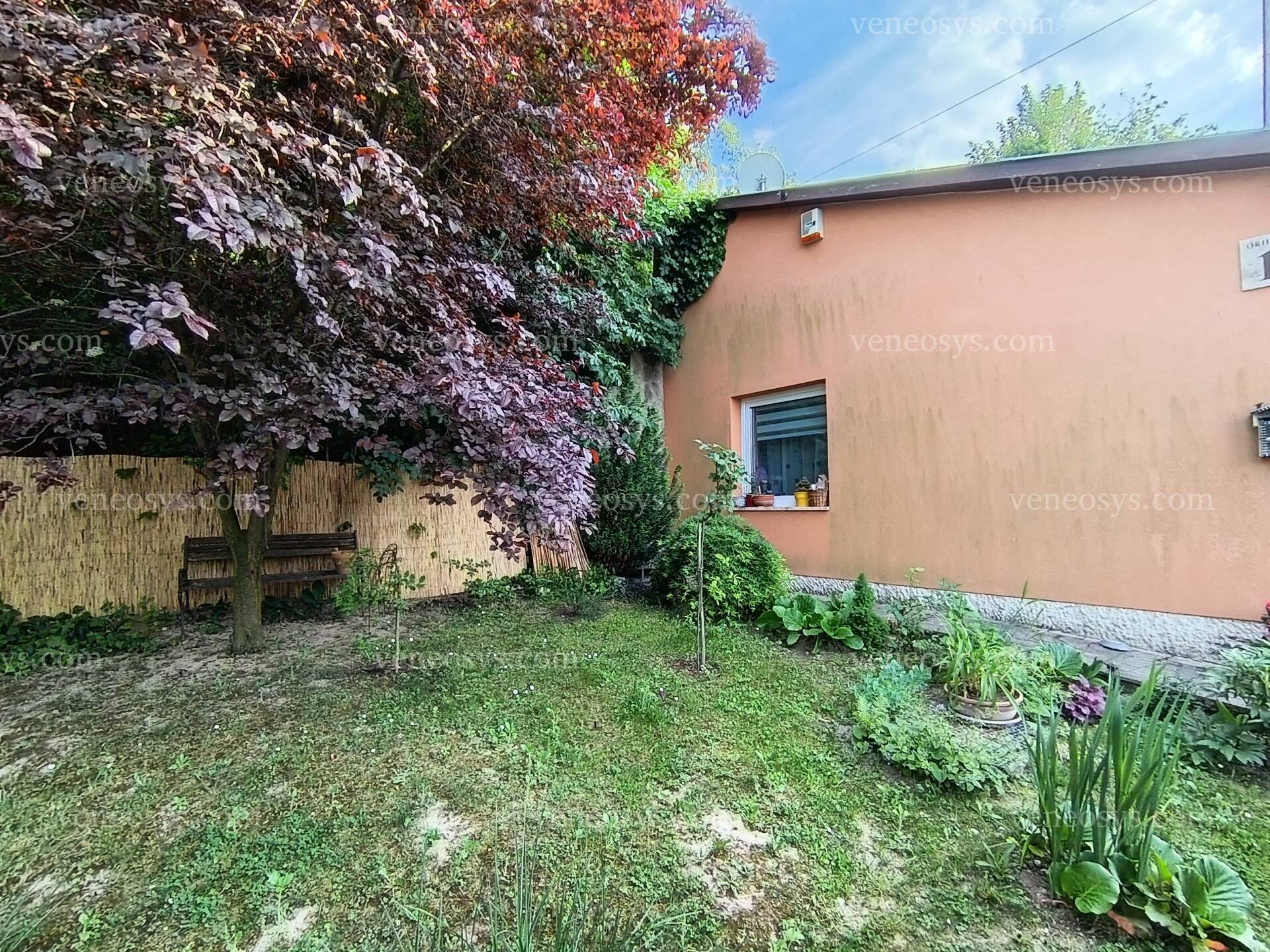 Kép 29