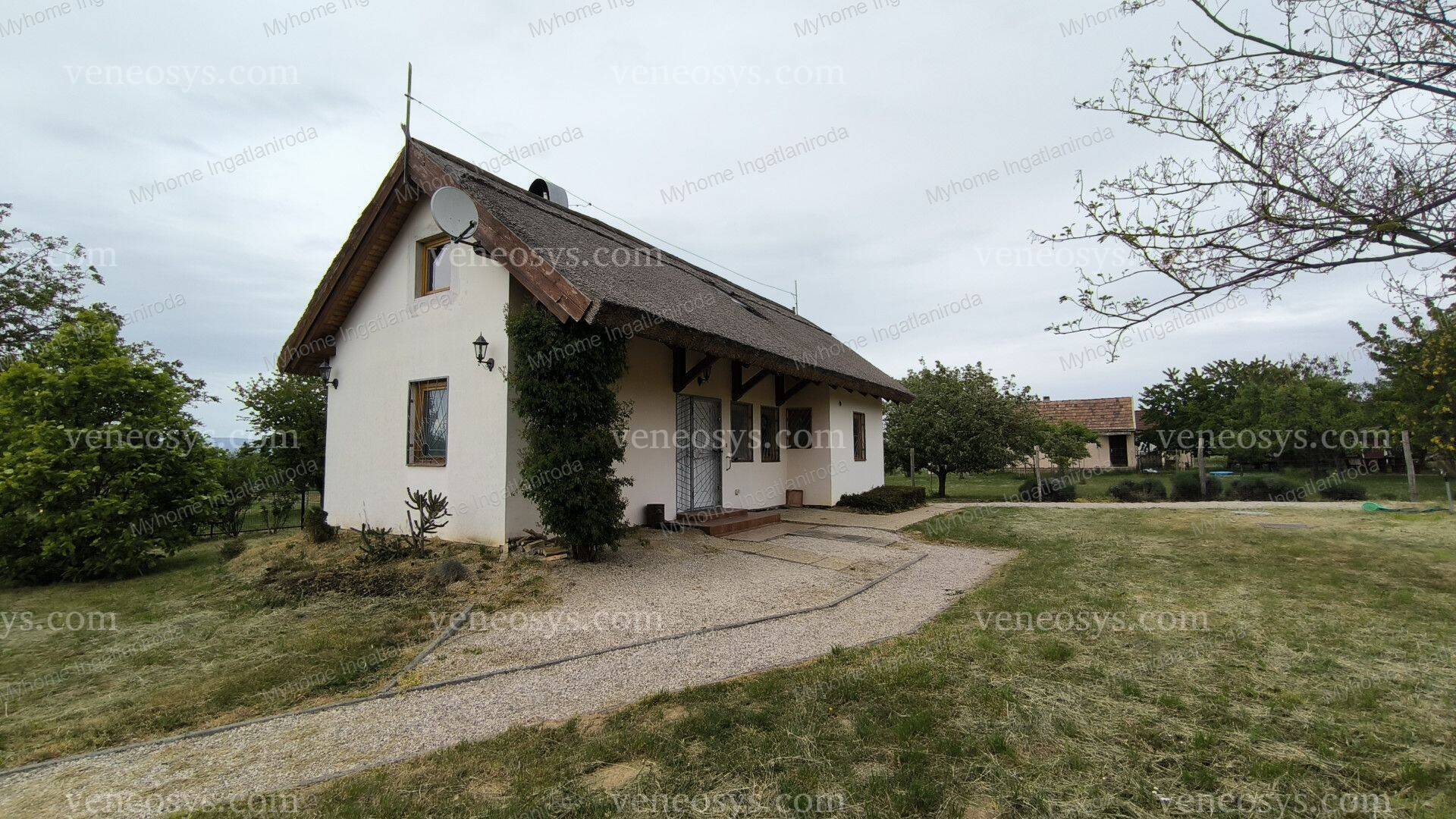 Kép 2
