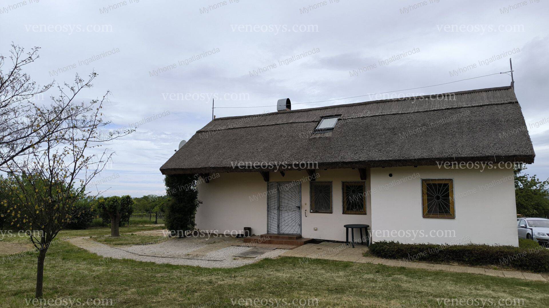 Kép 5