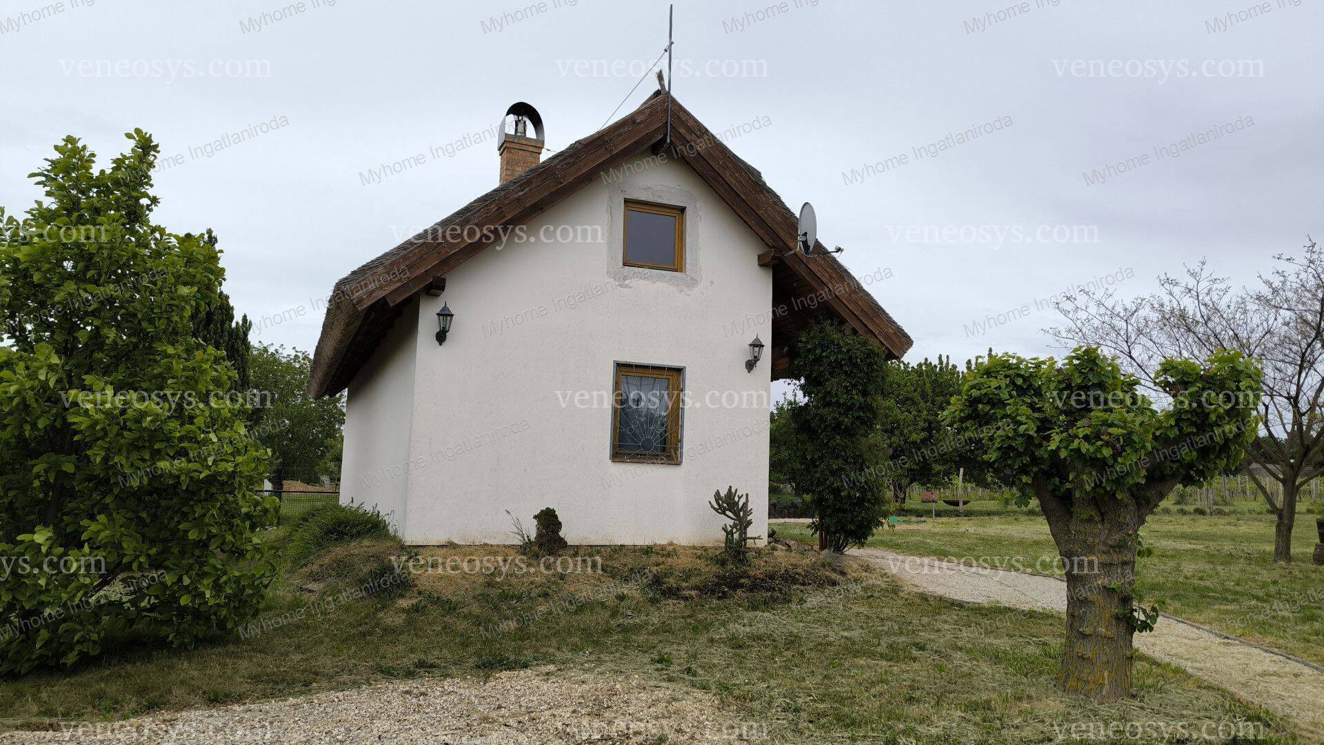 Kép 4