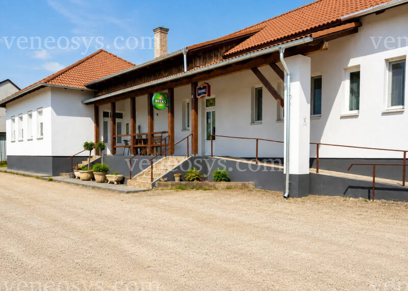 Kép 5