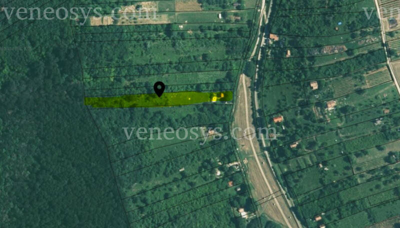 Kép 14