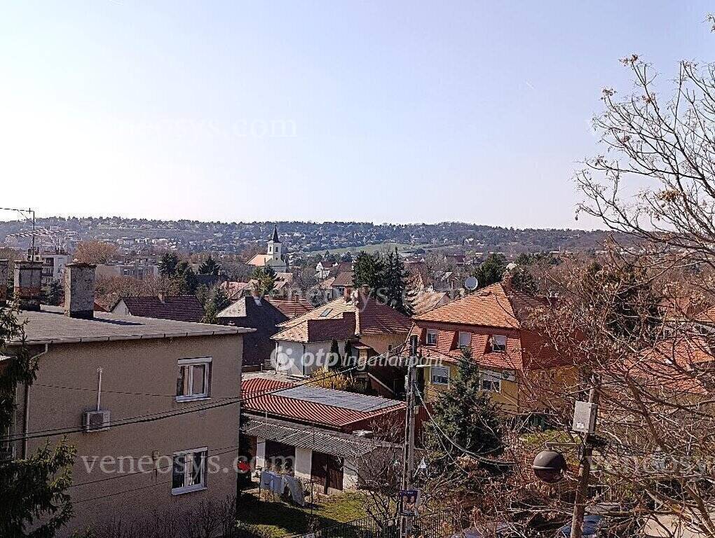 Kép 3