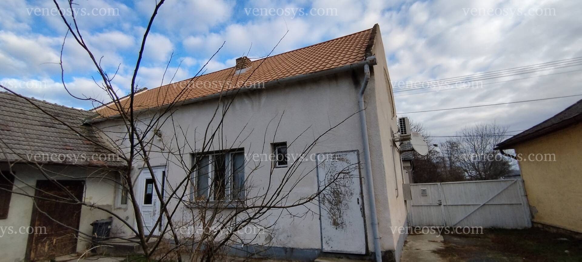 Kép 5