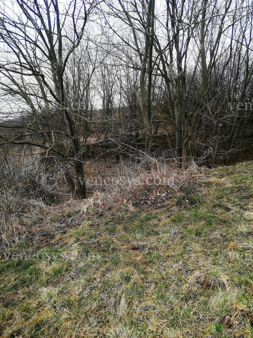 Kép 7