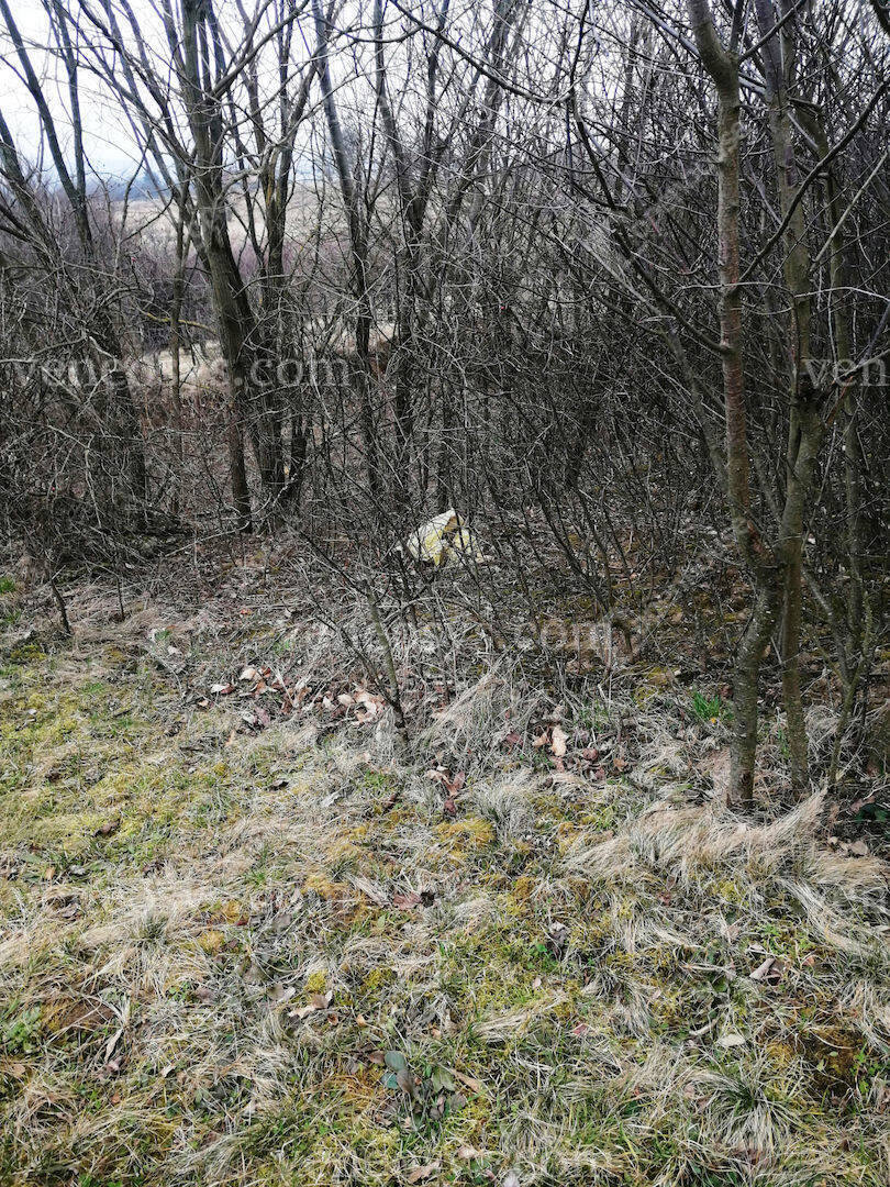 Kép 6