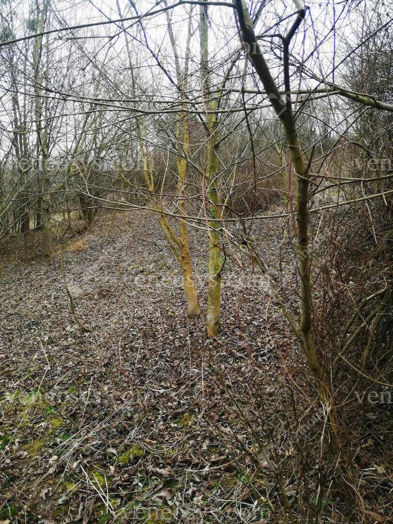 Kép 18